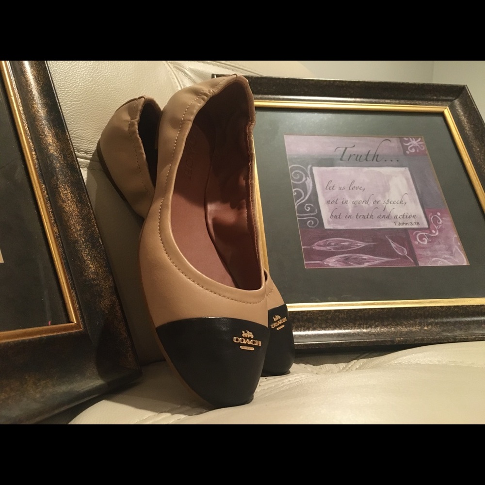 Coach Shoes - Picture 1 of 2